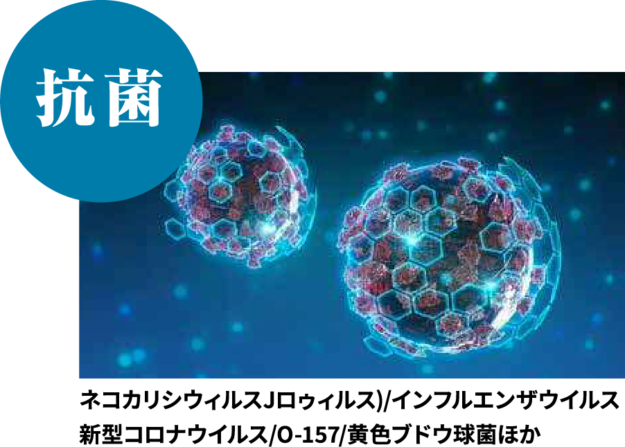抗菌 ネコカリシウィルスJロゥィルス)/インフルエンザウイルス 新型コロナウイルス/O-157/黄色ブドウ球菌ほか